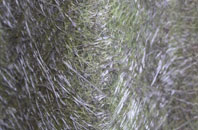 Plungar fibreglass roof work